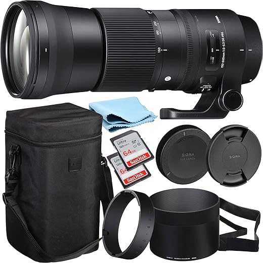 Sigma 150-600mm Canon Telephoto Lens Bundle: A Comprehensive Review