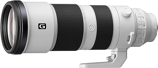 Sony FE 200-600mm G OSS Lens Review: A Telephoto Powerhouse