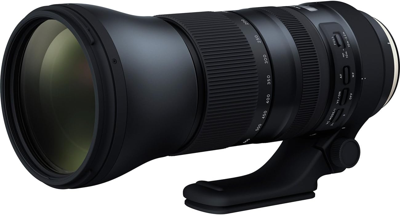 Tamron SP 150-600mm G2 for Canon: A Wildlife Photographer's Dream