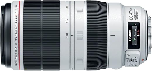 Review: Canon EF 100-400mm II USM Lens