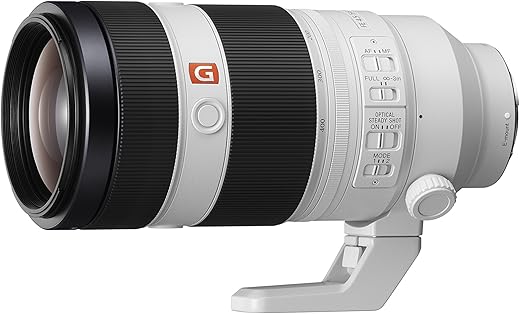 Sony FE 100-400mm GM White Lens Review